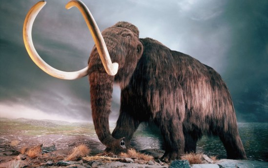 Mammoth